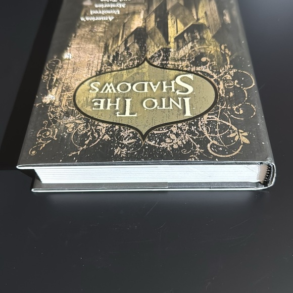 Into The Shadows | Hardcover Book - Picture 6 of 8